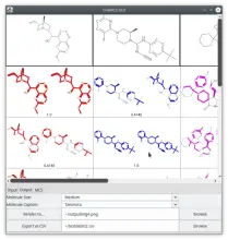 Graphical User Interface for Maximum Common Substructure molecular alignment
